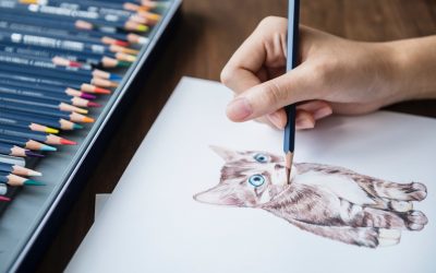 6 Easy Steps for Pencil Drawing