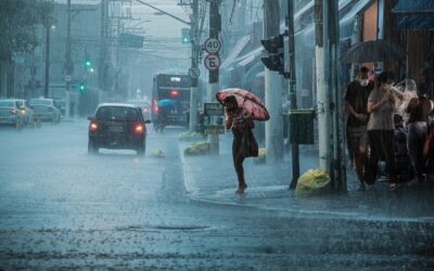 8 Tips for Surviving a Flood Disaster