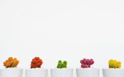3 Creative Ways to Personalize Coffee Mugs