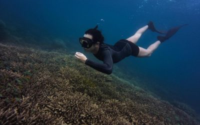Gentle Waves And Curious Turtles Snorkeling In Kona