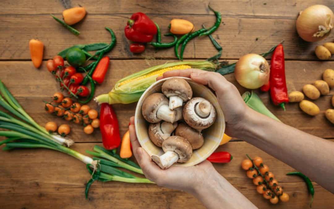 The Science Behind Mushroom Mycelium and Colonization