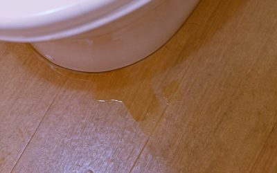 Why Is My Toilet Leaking Even After I Fixed It? Explained