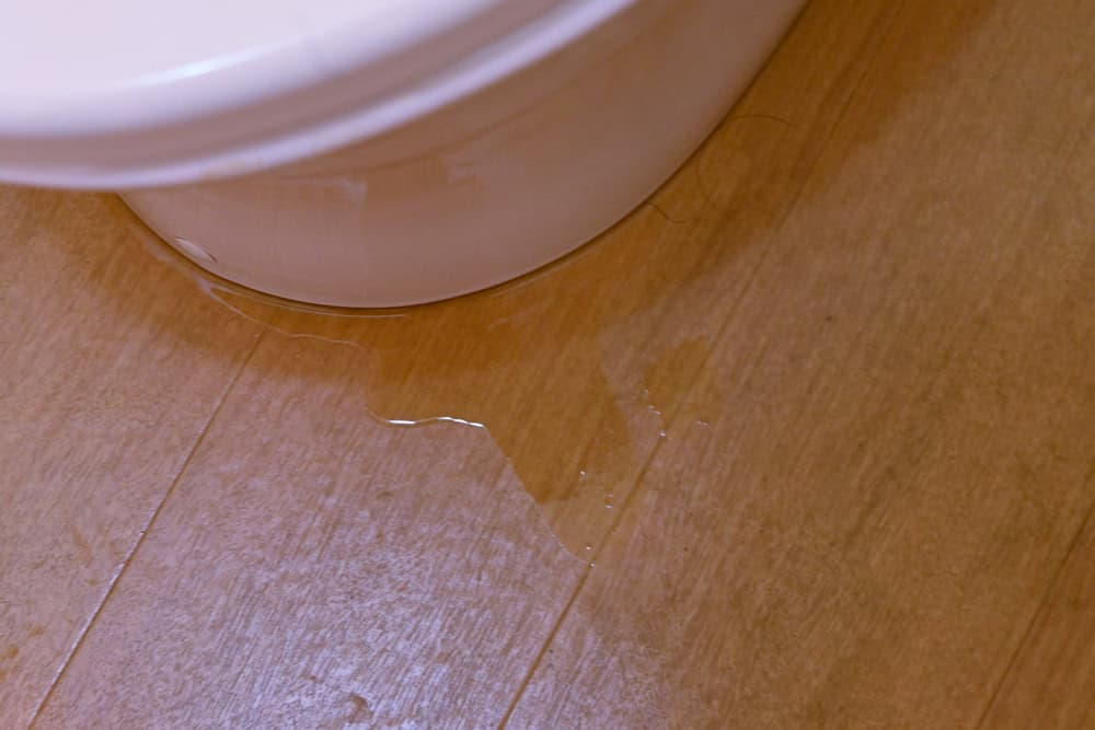Why Is My Toilet Leaking Even After I Fixed It? Explained